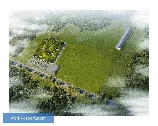 世界杯推出绿色办赛标准 助力可持续发展与环保理念落地